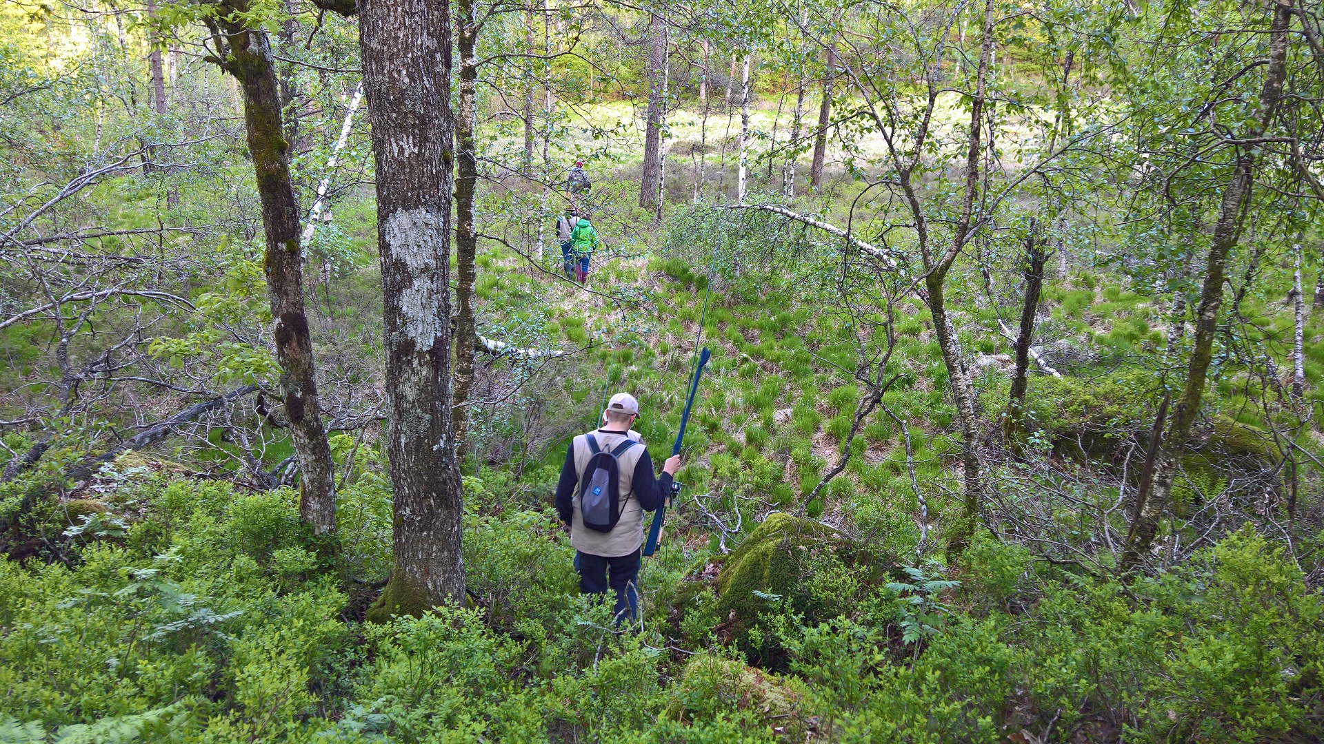 Vier Personen bahnen sich mit ihren Angeln einen Weg durch den Wald zum Hellavatnet bei Oyslebo