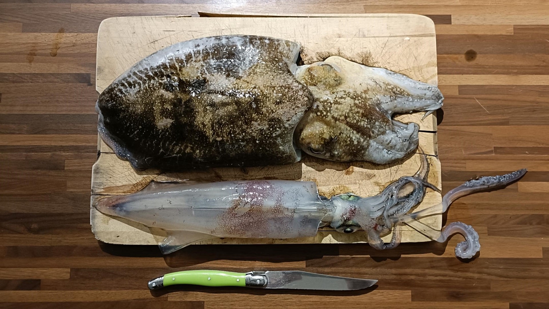 Ein Kalamar und ein Tintenfisch die in Nizza beim Angeln gefangen wurden, liegen auf einem Filetierbrett.