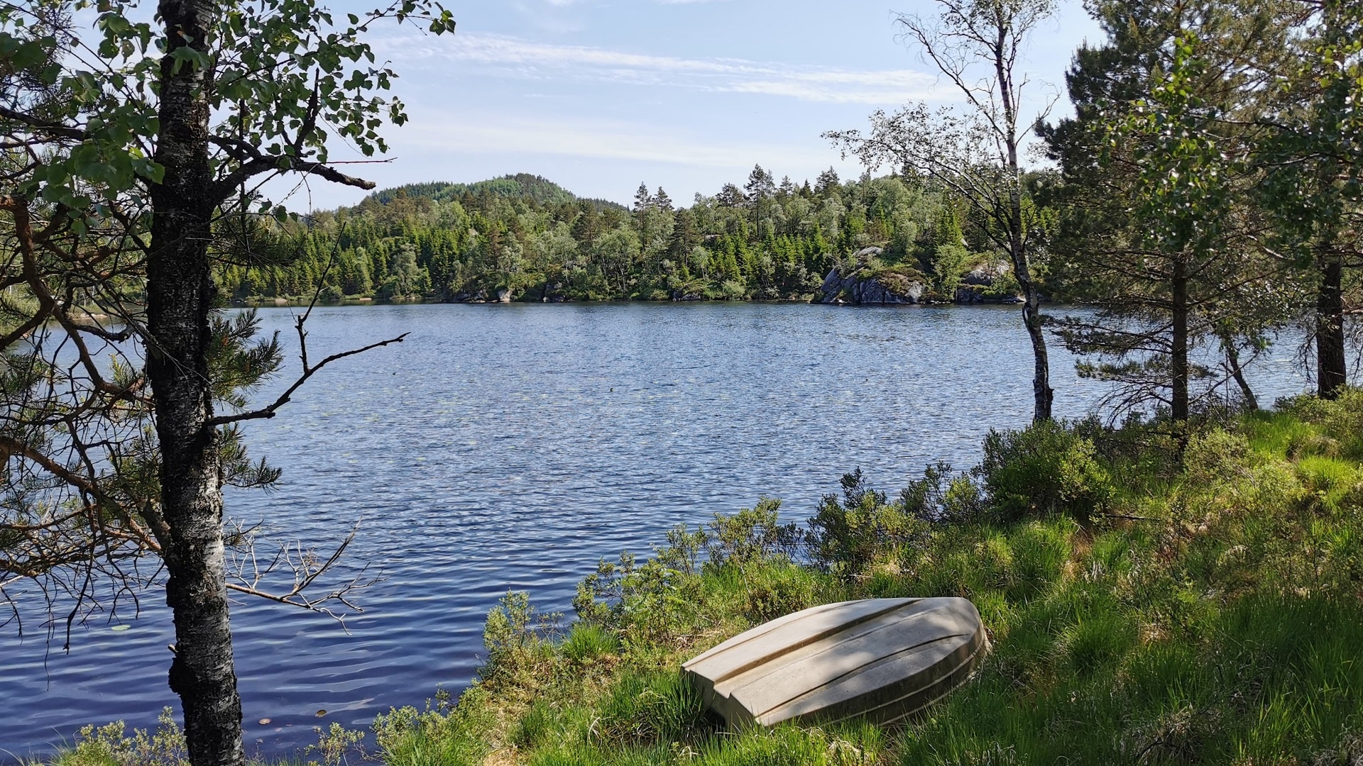 Das Ufer des Sees mit einer Kiefer auf der linken Seite und einem kleinen Ruderboot im Gras. Strahlend blauer Himmel und Baumreihen entlang des gegenüberliegenden Ufers.