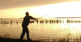 Ein Angler steht am Ufer eines Boddengewässers in der stimmungsvollen Abenddämmerung. Vor einem malerischen Hintergrund aus teilweise dunklen und goldenen Farben wirft er mit voller Kraft seine Spinnrute aus, bereit, das Wasser nach einem faszinierenden Fang zu erkunden.