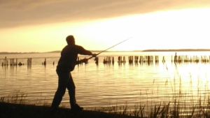 Ein Angler steht am Ufer eines Boddengewässers in der stimmungsvollen Abenddämmerung. Vor einem malerischen Hintergrund aus teilweise dunklen und goldenen Farben wirft er mit voller Kraft seine Spinnrute aus, bereit, das Wasser nach einem faszinierenden Fang zu erkunden.