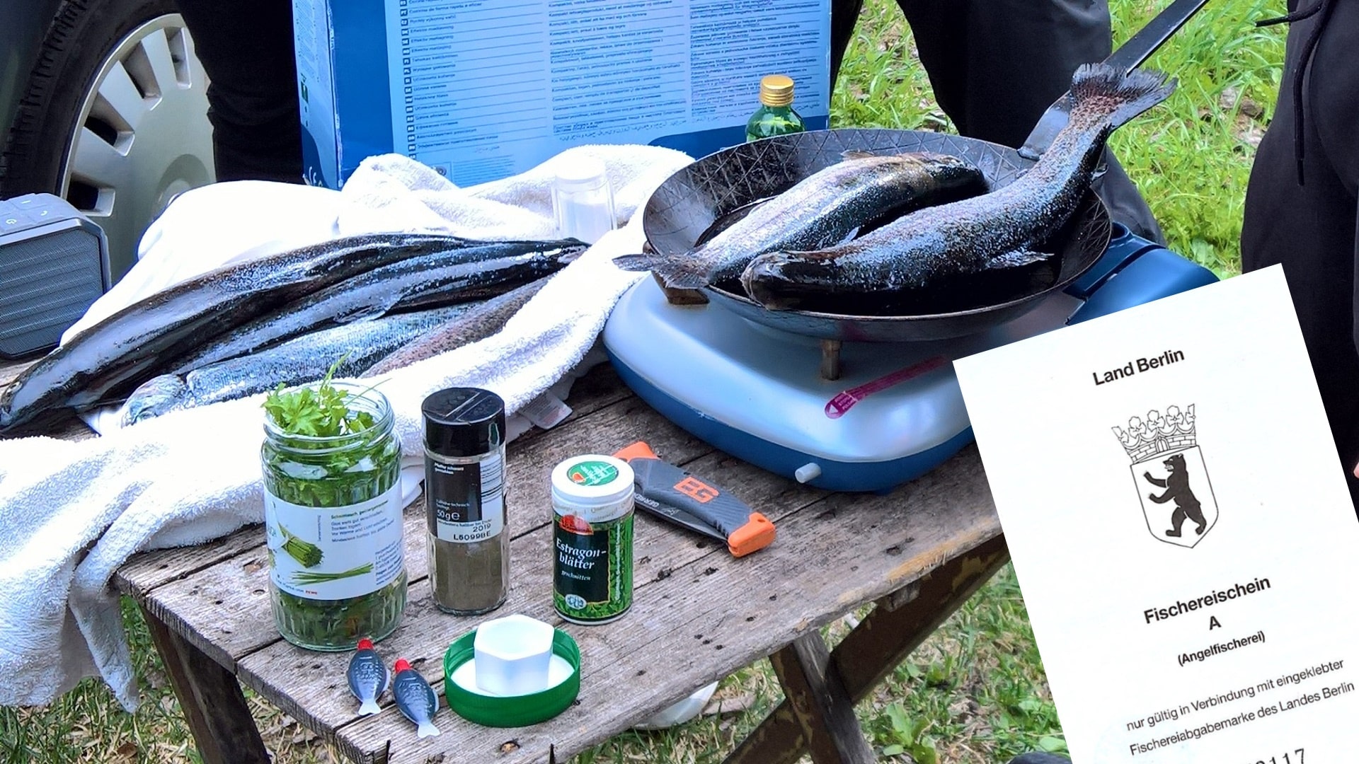 Auf einem Campingtisch liegen frische Forellen, Gewürze, ein Messer und eine Bratpfanne. Auf einem Gaskocher werden zwei Forellen gebraten. Rechts unten ist der Fischereischein des Landes Berlin zu sehen.