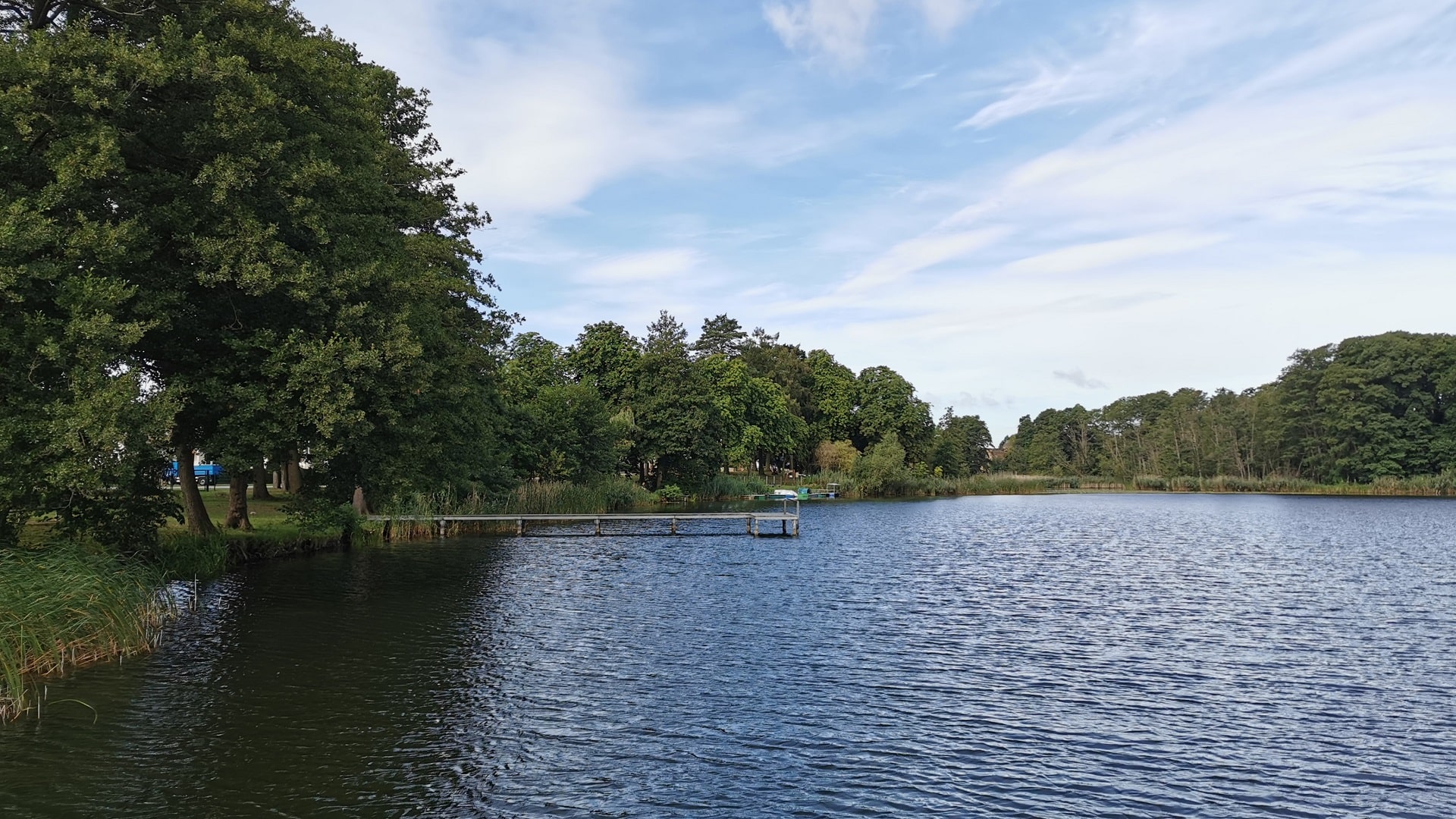 Mühlensee in Liebenwalde mit grünen Bäumen, Schilf am Ufer, Bootssteg am Südufer, blauer Himmel und Schleierwolken.