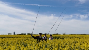 Drei Angler stehen inmitten eines gelb blühenden Rapsfeldes und strecken voller Vorfreude ihre Ruten in die Höhe, da die Zeit, wenn der Raps blüht, signalisiert, dass die Saison zum Hornhechtangeln gekommen ist.