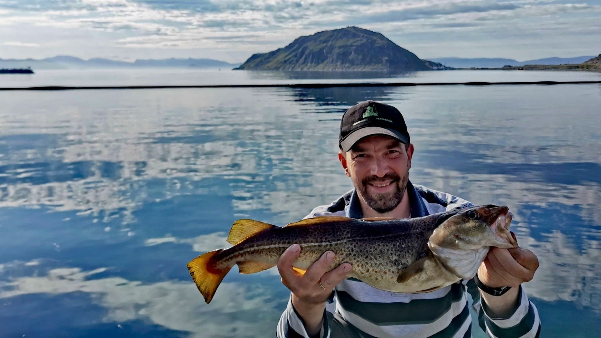 Ein freudiger Angler präsentiert seinen Dorsch, gefangen beim Angeln in Rypefjord – im Hintergrund spiegeln sich Insel und bewölkter Himmel in der glatten See