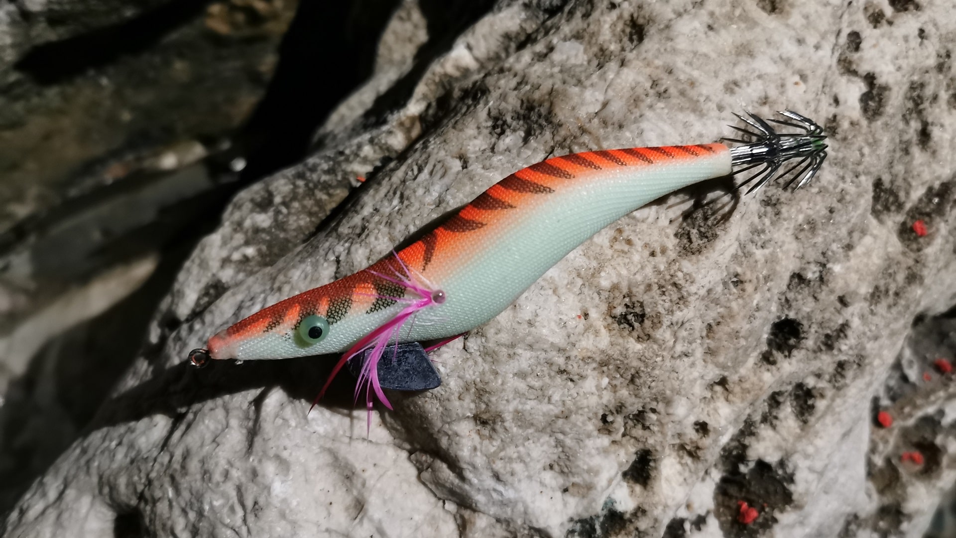 Ein Squid-Jig-Köder in Weiß-Orange-Purpur liegt auf einem hellen Felsen in Nizza zum Angeln auf Kalamar bereit