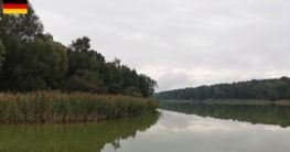 Still ruht der Beetzer See bei Kremmen unter trübem Himmel – das schilfbewachsene Ufer und das leicht getrübte Wasser prägen die Bedingungen beim Angeln an diesem ruhigen Gewässer.