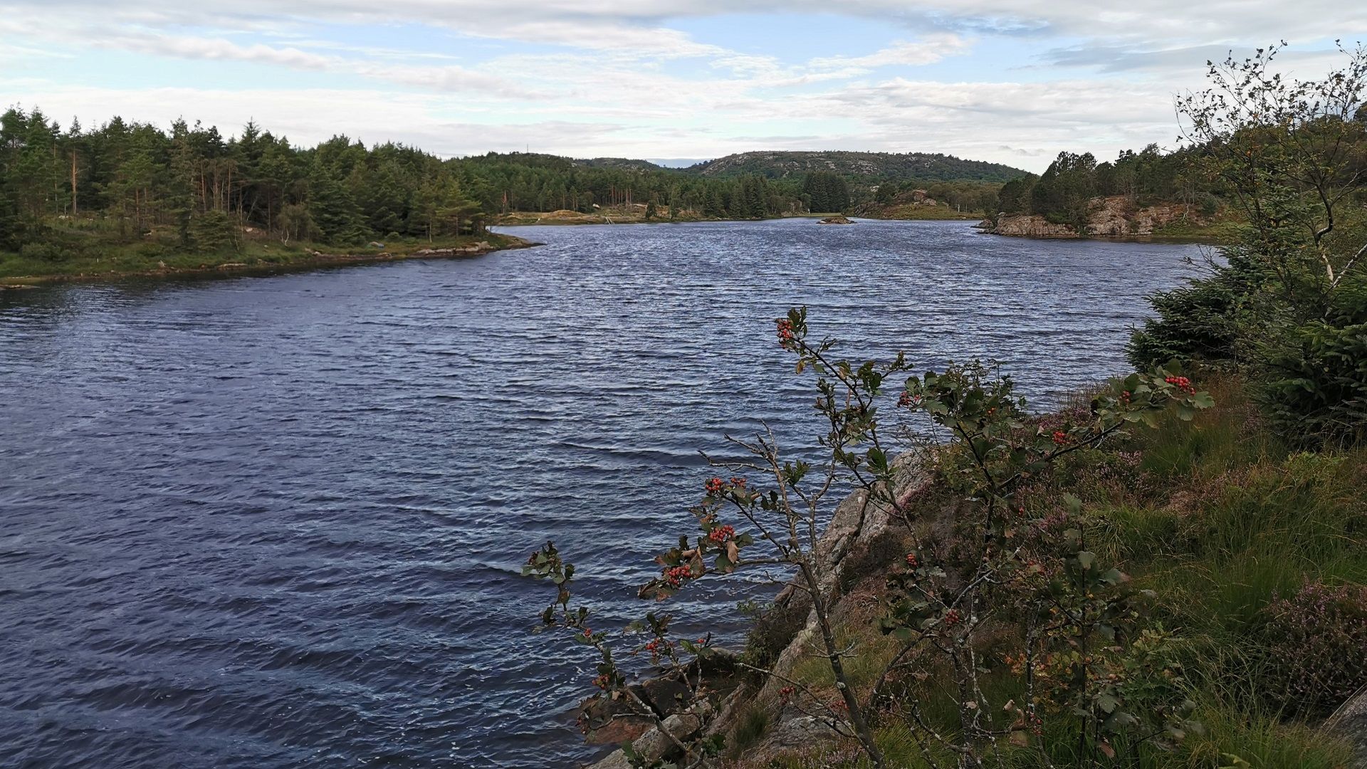 Blick vom besser zum Angeln geeigneten Ostufer über den Flatebøvatnet bei Ramsland bei gutem Wetter