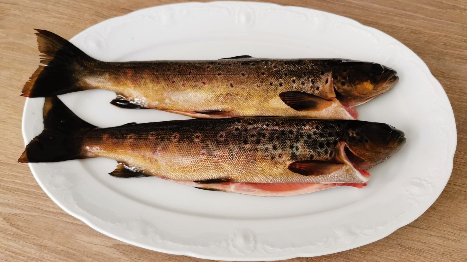 Zwei wunderschön gezeichnete Bachforellen aus dem Øvstevatnet liegen auf einem weißen Teller. Die Forellen haben eine für norwegische Seen schon fast beeindruckende Größe von knapp 35cm.