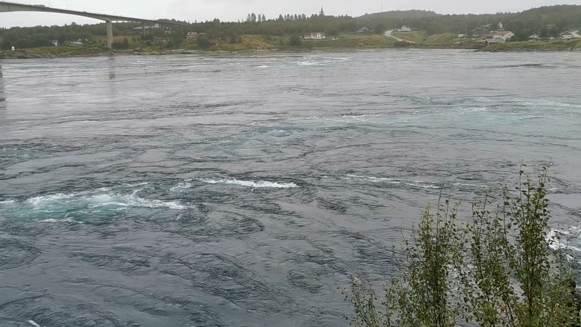 Blick über den Saltstraumen bei leichtem Regen – markante Strömungsverwirbelungen und links die Brücke, ein beeindruckender Ort zum Angeln