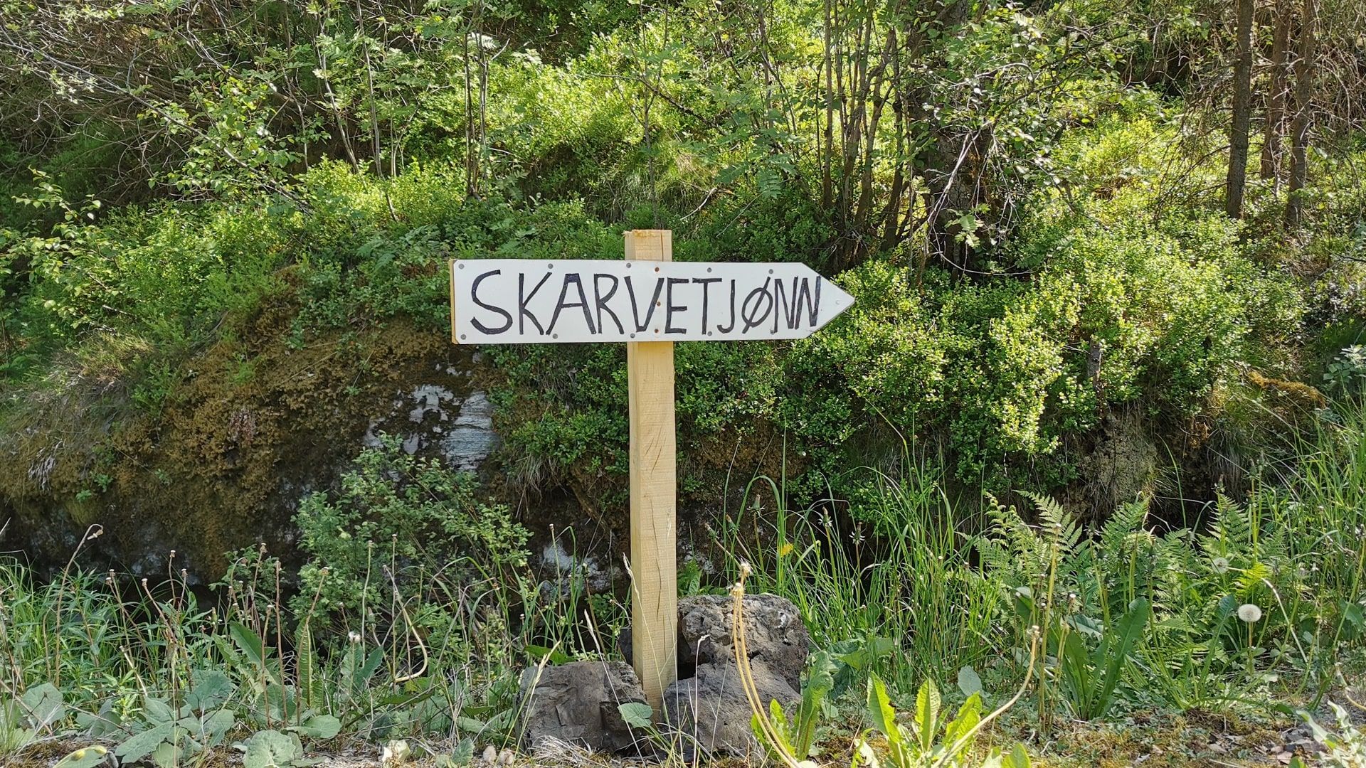 Ein Holzschild mit der Aufschrift