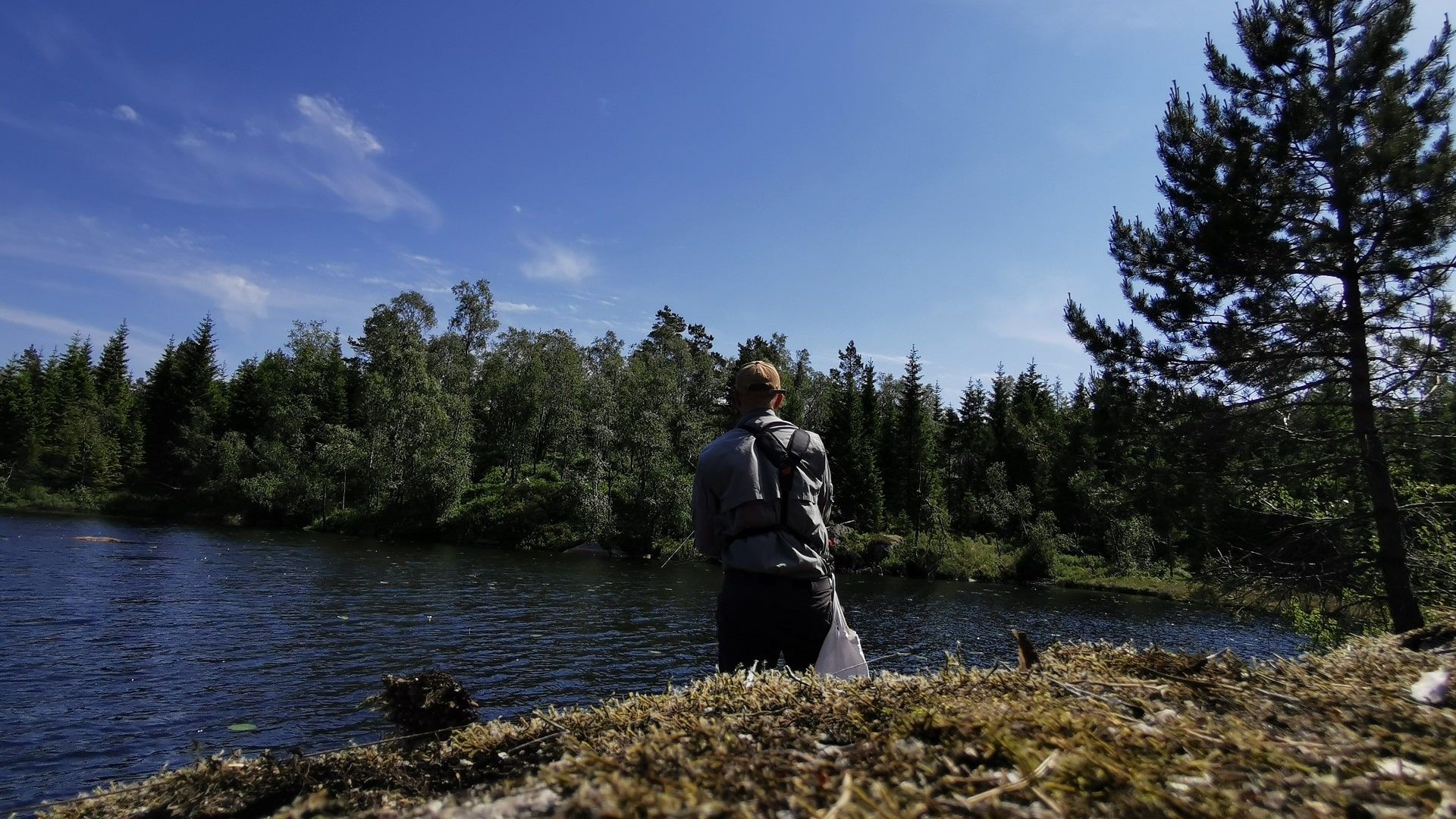 Ein Angler in Aktion beim Spinnfischen im Skarvetjønna unter einem strahlend blauen Himmel. Im Vordergrund ist ein mit Moos bewachsener Fels zu sehen. Rechts im Bild befindet sich eine Kiefer, während das gegenüberliegende Ufer von einer ganzen Anzahl Bäumen bewachsen ist.