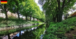 Der Spandauer Mühlengraben umschließt die Altstadt wie eine Kastanien-Allee – bei Windstille spiegelt sich das Blätterdach perfekt im ruhigen Wasser, ein malerischer Ort zum Angeln mitten in Berlin.