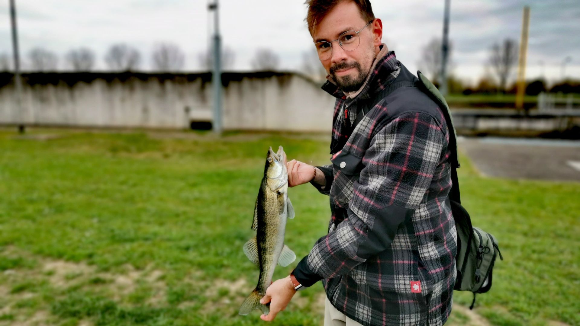 Ein Angler präsentiert einen Zander - gefangen beim Angeln an der Schleuse in Maasbracht bei Roermond