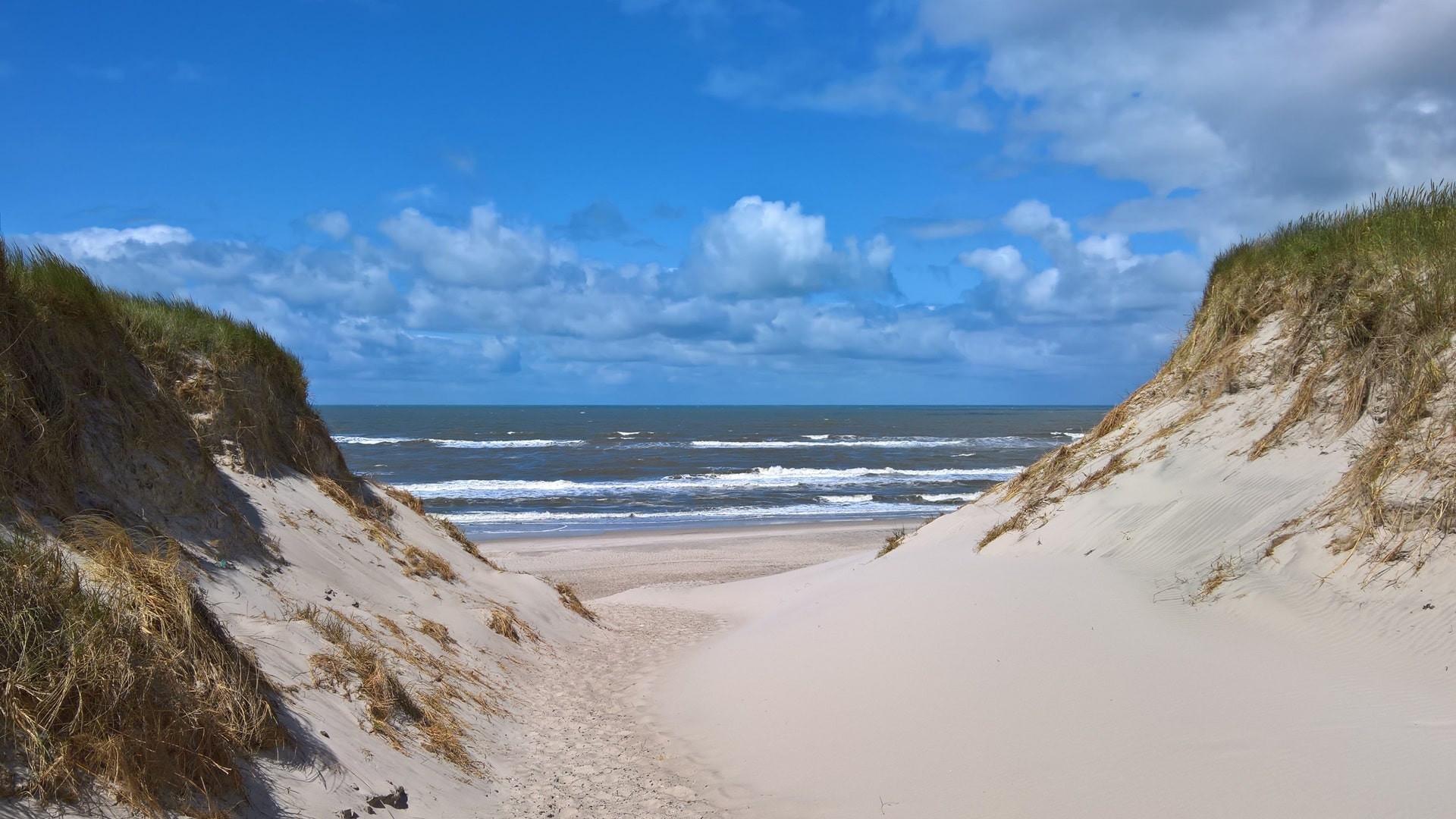 Weiße Sandstrände zwischen begrünten Dünen unweit der Schleuse in Hvide Sande, dem hier vorgestellten Spot zum Angeln