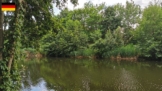 Blick auf einen Angelspot nördlich der Pinnower Schleuse bei Oranienburg – klare Uferkante zwischen Bäumen, gegenüber dichter Schilfgürtel und leicht angetrübtes Wasser.