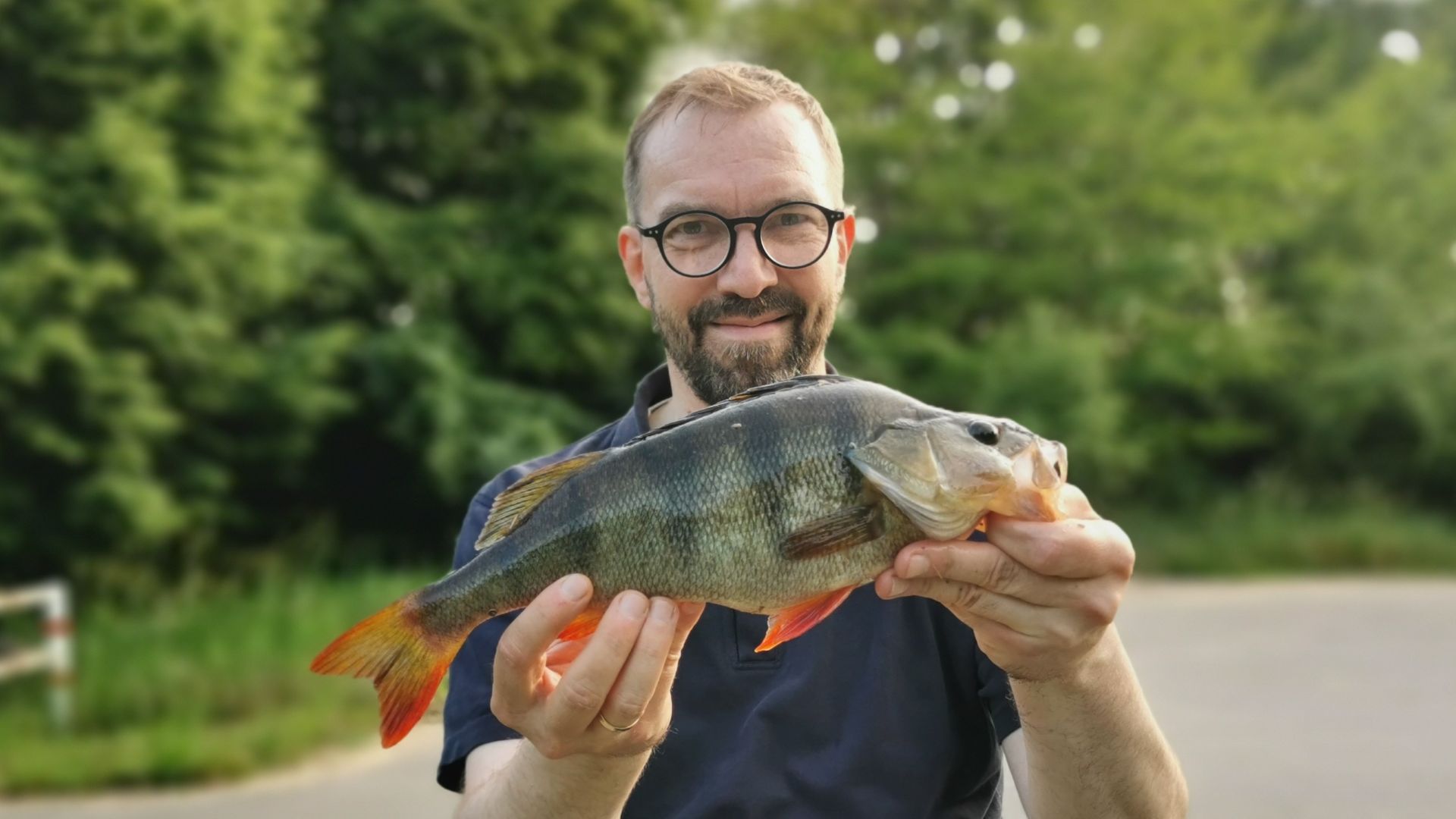 Angler präsentiert einen fast 40 cm großen Barsch, gefangen beim Spinnfischen an der Pinnower Schleuse in Oranienburg – ein seltener Fang und echtes Highlight.