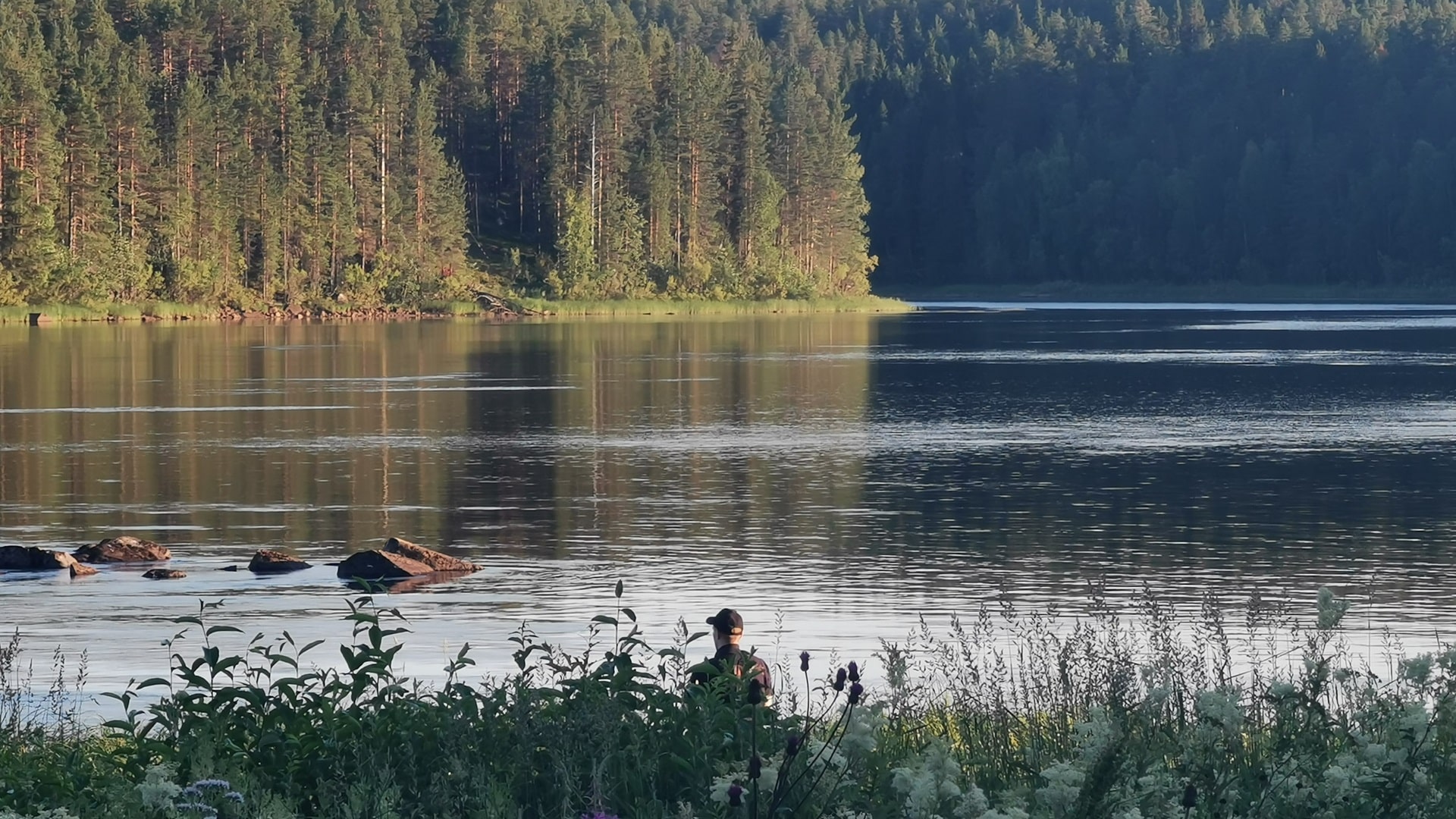 Weitblick über den breiten Kamlungeälven – bewaldetes Flussufer unter klarem Himmel