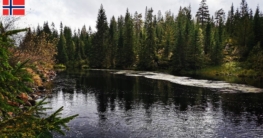 Blick auf einen tieferen Abschnitt zwischen zwei Wasserfällen des Oberlaufs des Linddalselva bei Skien, umgeben von dichtem Mischwald