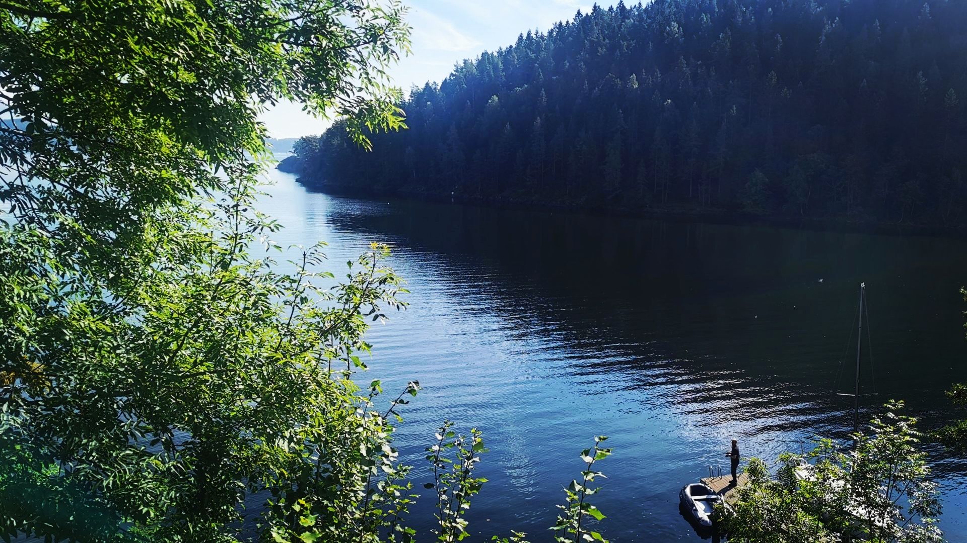 Blick durch einige Laubbäume in Richtung Südosten über die Flakvarbukta bei Skien an einem sonnigen Tag; blauer Himmel und ruhige Wasseroberfläche