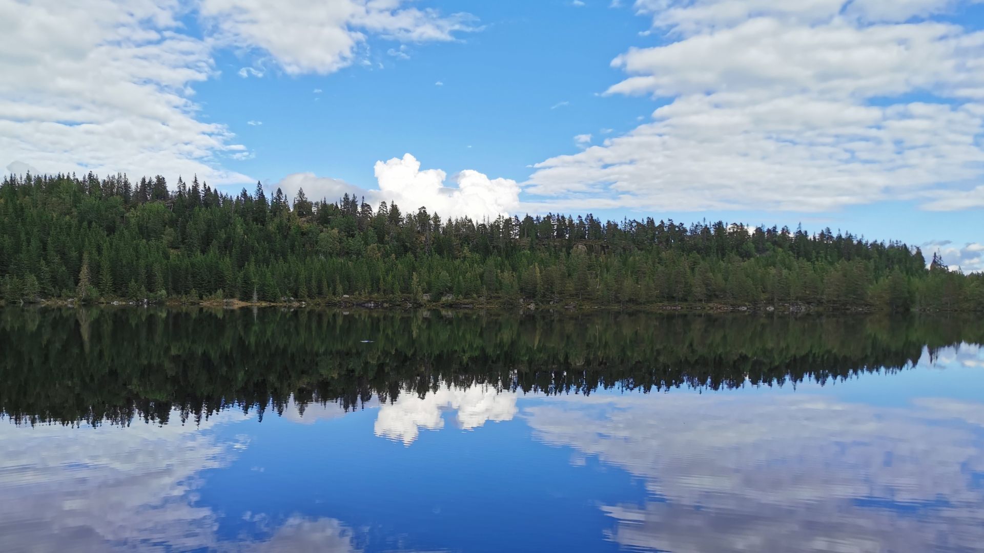 Blick über den spiegelglatten Lona bei Skien an einem sonnigen Tag, blauer Himmel mit wenigen Wolken und Nadelwald, der sich perfekt im Wasser spiegelt