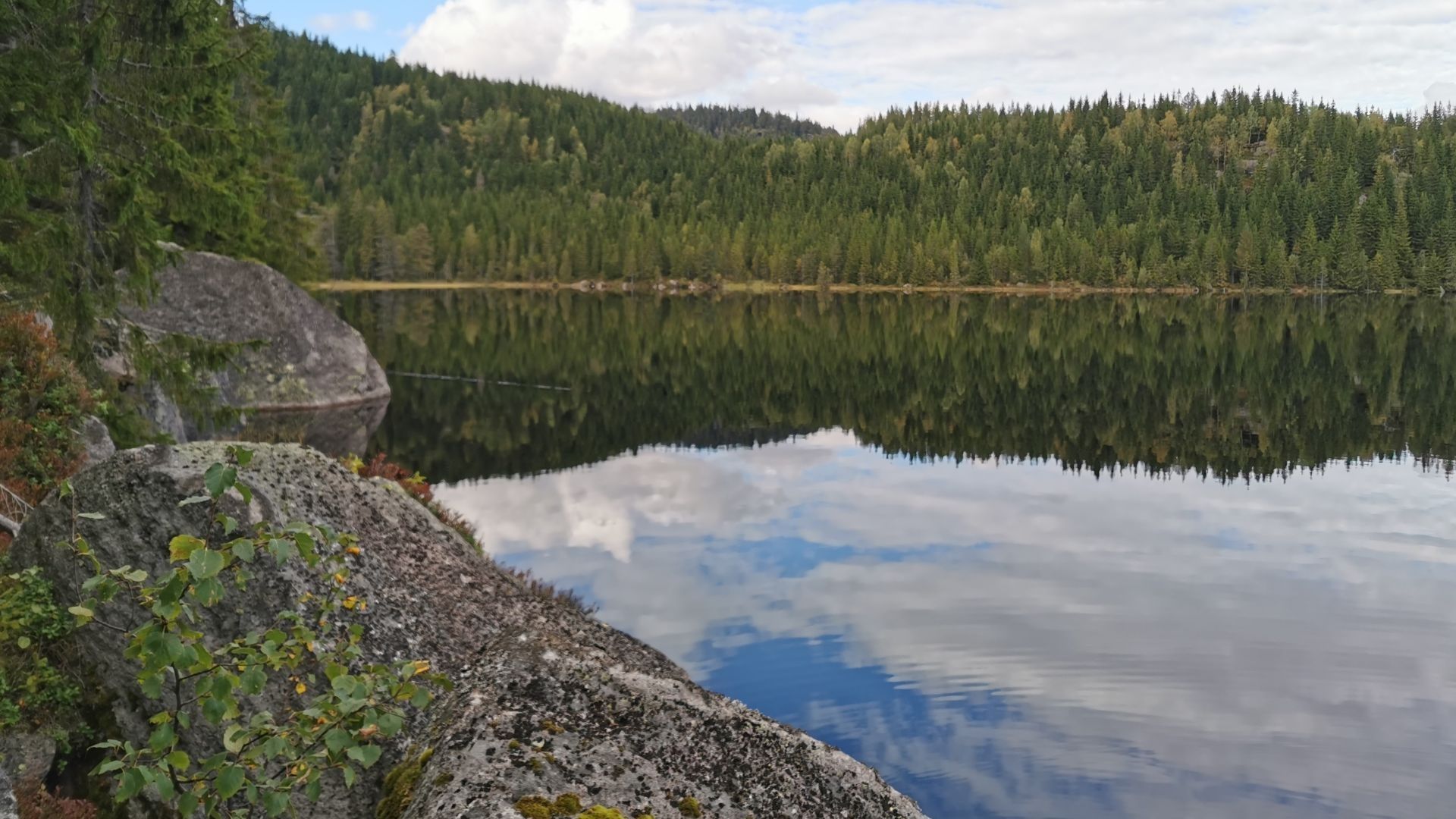 Aussicht auf das Nordufer des Lona bei Skien mit größeren Felsen und dichtem Nadelwald, der sich auf der ruhigen Wasseroberfläche spiegelt