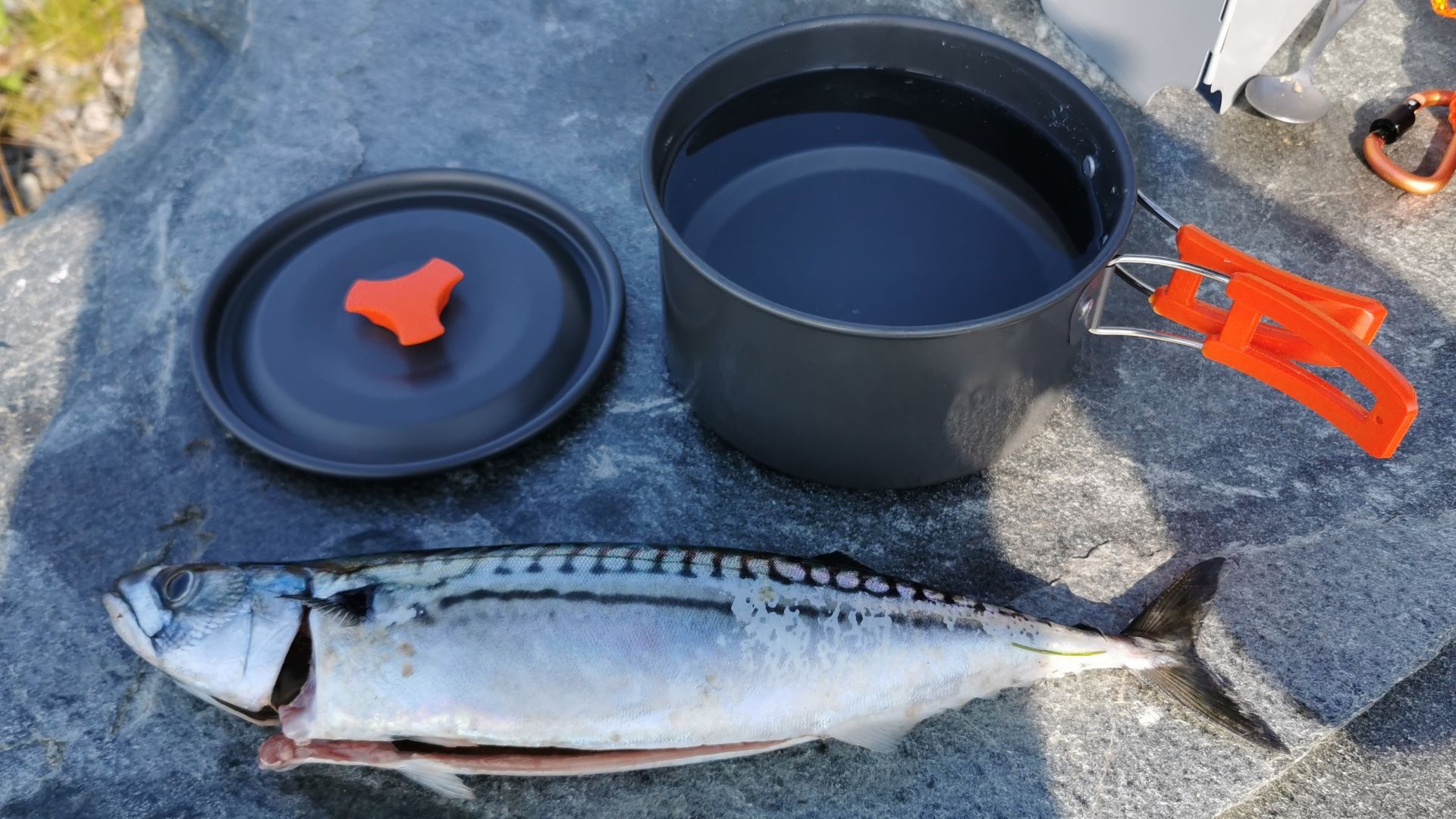 Ausgenommene Makrele, Topf mit frischem Meerwasser und Deckel liegen auf einem Stein für die Outdoor-Zubereitung bereit