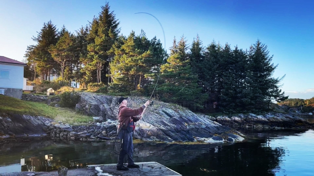 Autor wirft Köder ein, Savage Gear Parabellum CCS 10'1 Test-Rute lädt sich auf, im Hintergrund Nadelbäume auf Felsküste einer ruhigen Bucht, blauer Himmel.