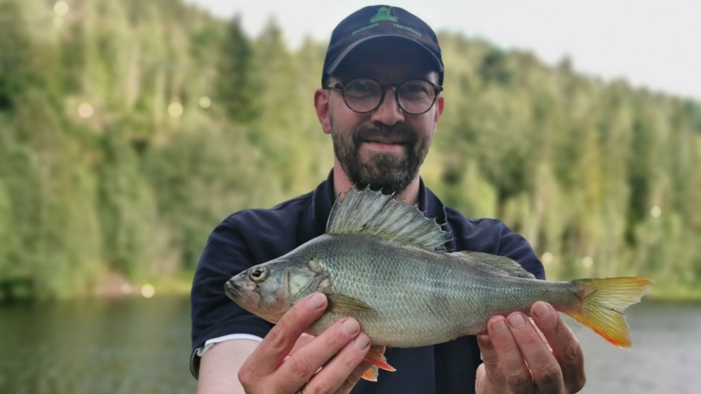 Autor präsentiert einen gefangenen 35cm großen Barsch, gefangen mit der Savage Gear Parabellum CCS 10'1 Test-Rute in einem norwegischen Bergsee.