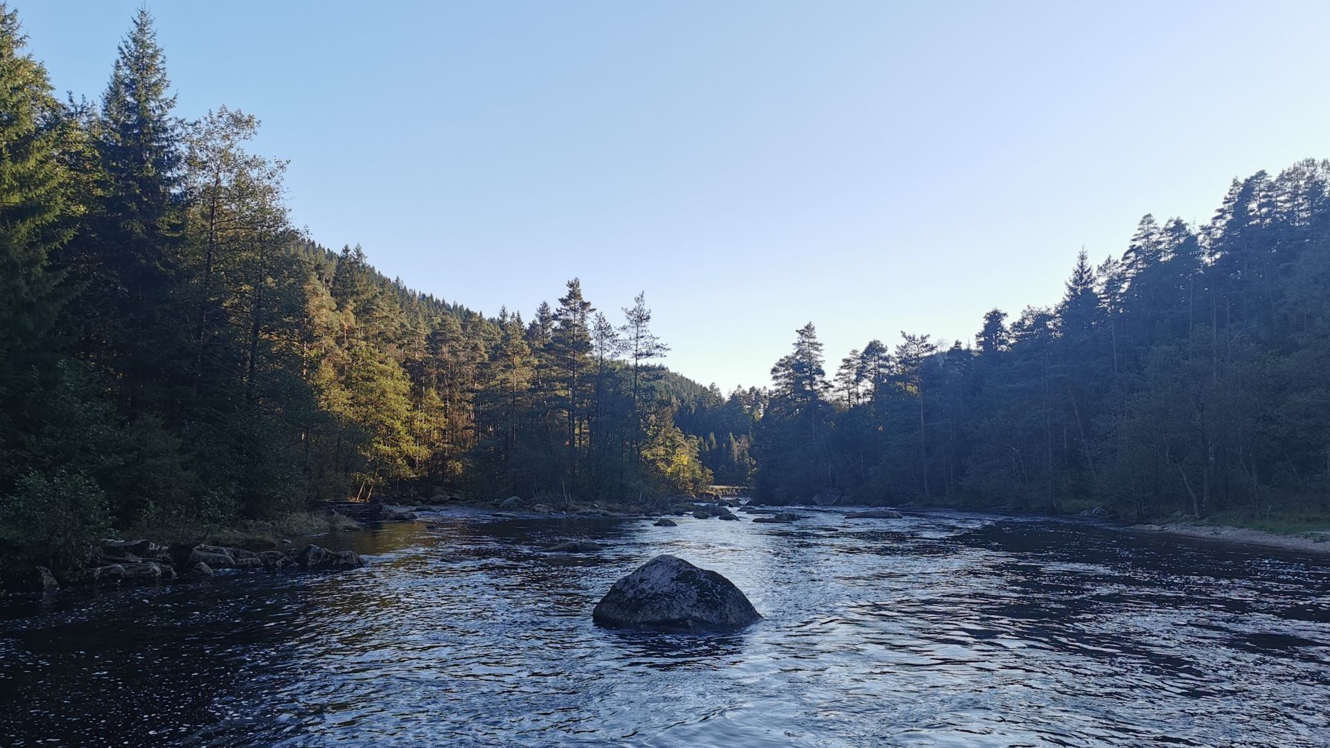 Wasserreicher Lachsfluss zwischen Mandal und Lyngdal bei hohem Pegelstand, umgeben von Nadelwald und blauem Himmel – typische Landschaft beim Angeln mit Dachzelt zwischen Mandal und Lyngdal