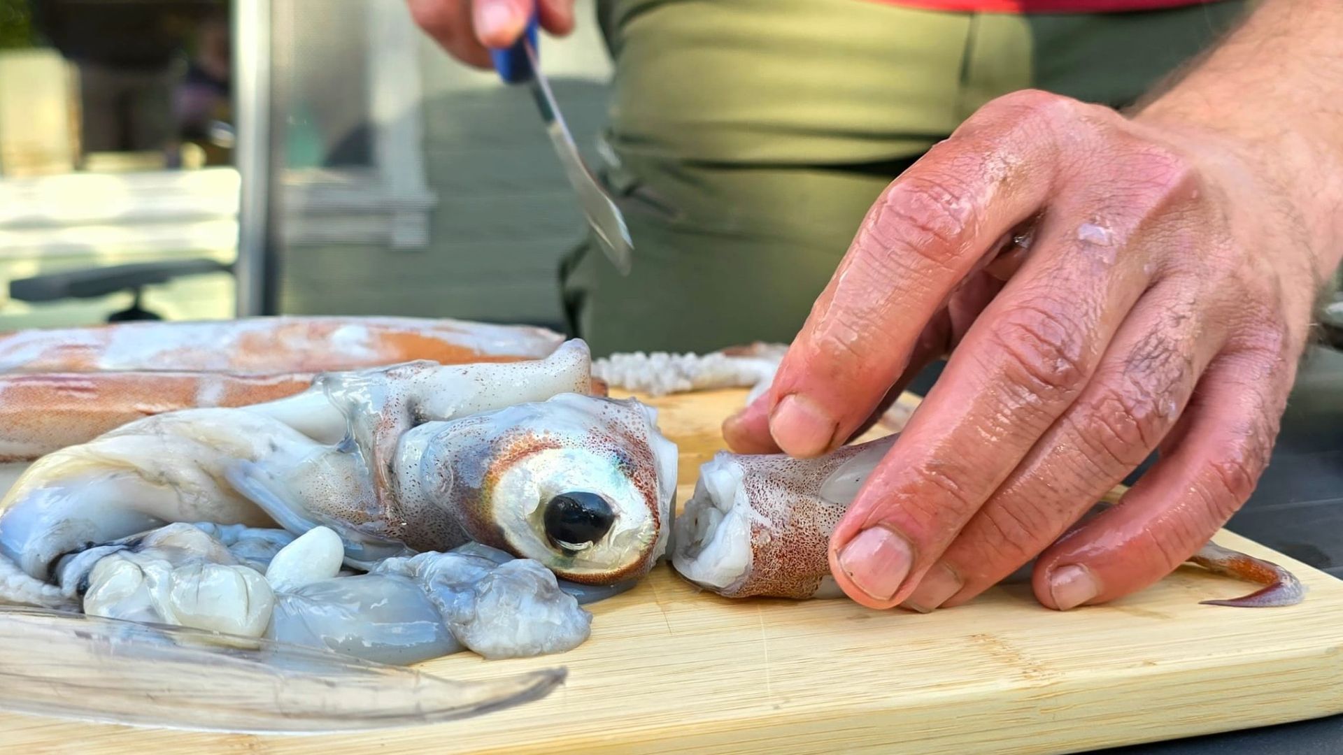 Zerlegung eines Tintenfischs auf einem Holzbrett, großes Auge sichtbar, im Vordergrund das federförmige, durchsichtige Rückgrat