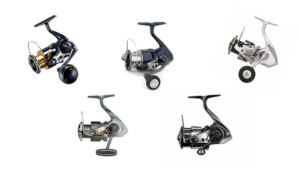 Die 5 Shimano Rollen für das Lachsangeln und Küstenspinnfischen im Test 2024 sind die Vanquish 4000 XG FC, die Stella 4000 XG FK, die Stradic 4000 FM, die Stella SW 4000 HG C und die Twin Power XD 4000 HG FA