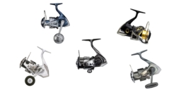 Die 5 Shimano Rollen für leichtes bis mittelschweres Pilken im Test 2024 sind die Vanquish C 5000 XG FC, die Stella C 5000 XG FK, die Stella SW 5000 HG C, die Twin Power SW 5000 HG C und die Stradic C 5000 XG FM