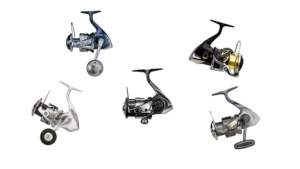 Die 5 Shimano Rollen für leichtes bis mittelschweres Pilken im Test 2024 sind die Vanquish C 5000 XG FC, die Stella C 5000 XG FK, die Stella SW 5000 HG C, die Twin Power SW 5000 HG C und die Stradic C 5000 XG FM