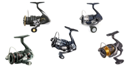 Die 5 Shimano Rollen zum Faulenzen auf Zander im Test 2024 sind die Vanquish FB C 3000 M HG, die Sustain FJ C 3000 HG, die Twin Power XD FA C 3000 HG, die Vanford F C 3000 HG und die Twin Power FD C 3000 M HG