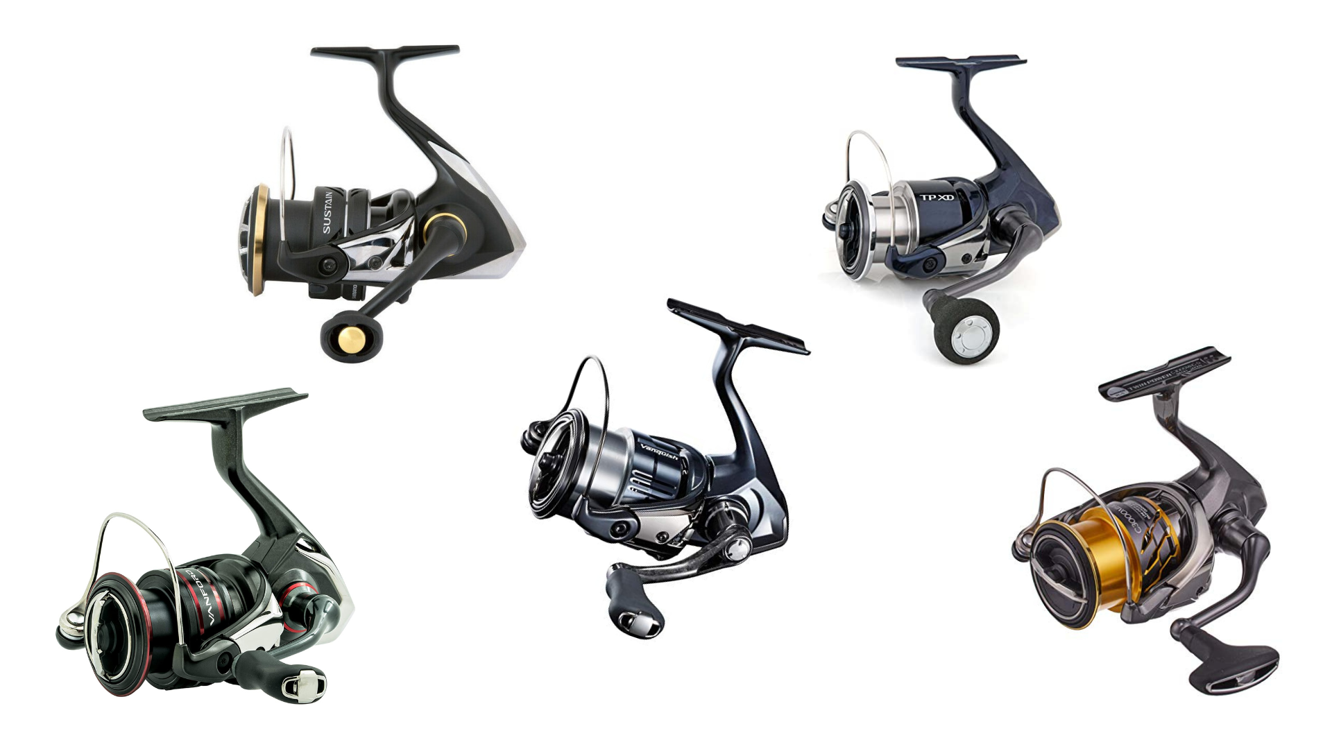 Die 5 Shimano Rollen zum Faulenzen auf Zander im Test 2024 sind die Vanquish FB C 3000 M HG, die Sustain FJ C 3000 HG, die Twin Power XD FA C 3000 HG, die Vanford F C 3000 HG und die Twin Power FD C 3000 M HG